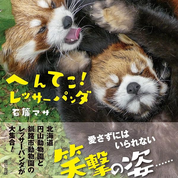 絶滅危惧種レッサーパンダからのメッセージ ぼくたちをもっと知ってほしい! Amazon.co.jp: 絶滅危惧種 レッサーパンダからのメッセージ ぼくたちを